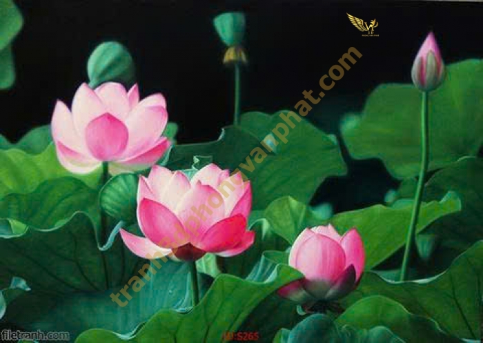 Tranh Hoa Sen Treo Tường Cao Cấp – Vẻ Đẹp Thanh Tao, Mang Tài Lộc Và Bình An