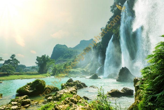 PVP-Kinh Thành Huế