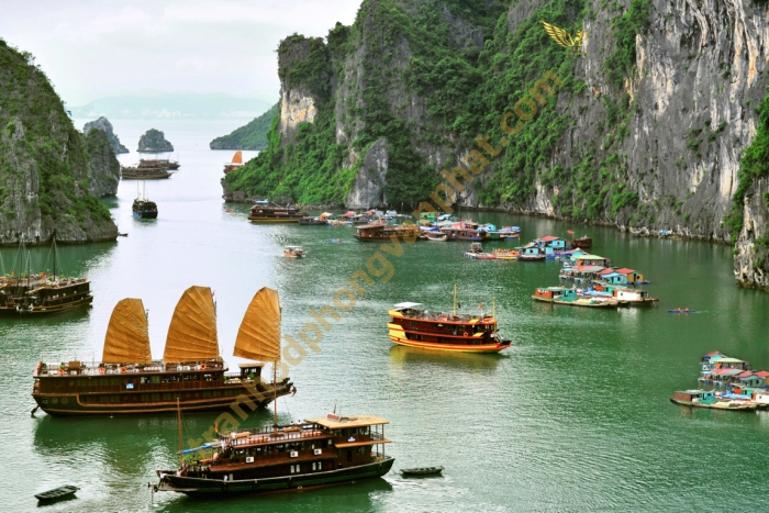 PVP-Kinh Thành Huế