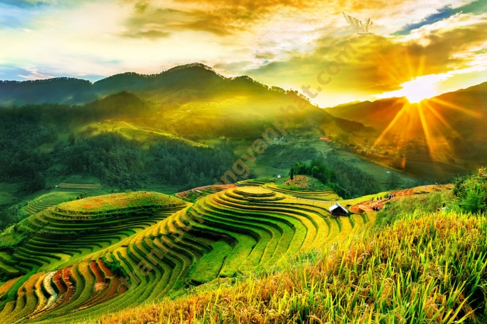 PVP-Kinh Thành Huế